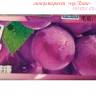 Жевательная резинка "Бонна ромб" со вкусом винограда