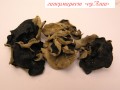 Древесные грибы Муэр, 100 гр 2